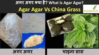 Agar Agar Vs China Grass |  अगर अगर और चाइना ग्रास में अन्तर क्या है? | Agar:FAQ | Everyday Life#107