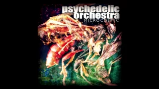 Psychedelic Orchestra "Apollo 17"