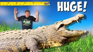 I Found The Worlds Biggest Nile Crocodile!!!