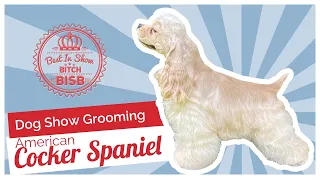 Dog Show Grooming: How to Groom an American Cocker Spaniel