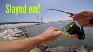 Jetty Fishing! Indian River Inlet, Delaware (Light Tackle)