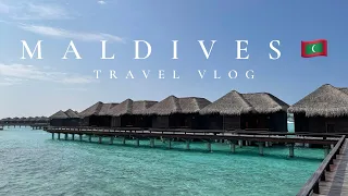 【モルディブ🇲🇻Vlog】シェラトン・モルディブ・フルムーンリゾート&スパ　オールインクルーシブレポ　🌺