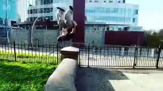 Мастер паркура с пивным животом-The parkour master with a beer belly