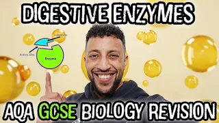 Science Raps: GCSE Biology - Enzymes