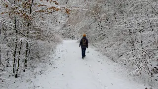 Снежная❄️прогулка вокруг города | Schnee❄️Wanderung rund um Bad Kissingen. 18.01.2024