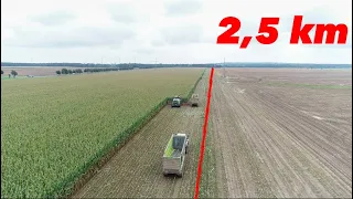 Wir machen Durchsatz am Tag! (2,5 km MAIS) Großeinsatz häckseln für die Biogasanlage Fendt Maschinen