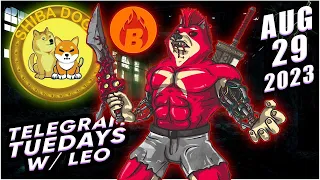 Crypto Launchpad Missed Shiba & Doge Dont Miss ShibaDoge & Definitely Not The Upcoming Token Launch