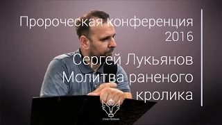 Сергей Лукьянов - Молитва раненого кролика