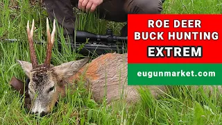 Extrem Roe Deer Buck Hunting 2021 - Caccia al Capriolo 2021 - Rehbock Jagd 2021