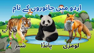 Animal Names in Urdu - Learn Urdu Animals Name - Animals Name and Picture - Animals By Moko Loko