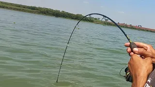 Pescaria na rodada Rio turvo Esse lugar é realmente Incrível Brutos na ponta do Anzol