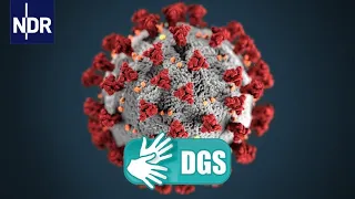 Gebärdensprache: Coronavirus-Update #109 | Coronavirus-Update NDR Info | NDR