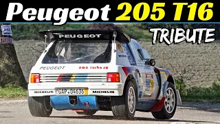 Peugeot 205 T16 Evo 2 - Group B Rally Legend Tribute - Engine Sound & Exhaust Flames! 💥