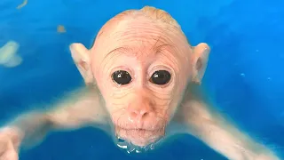 Bibi monkey loves to learn Swimming with Dad! Hold breath 50s (Session 4)