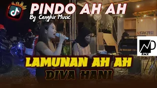 PINDO AH AH PASANG KANG TANPO WANGENAN Voc Diva Hani | DJ LAMUNAN Ah Ah KOPLO VIRAL TIKTOK 2024