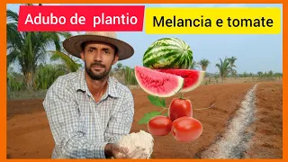 Adubaçao de fundação no solo para plantio de Melancia e Tomate  🍅 🍉