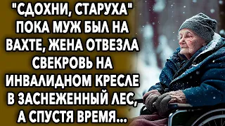 Пока муж был на вахте, жена отвезла свекровь в заснеженный лес, а спустя время...