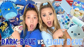 DARK BLUE 🫐🌀💙 VS LIGHT BLUE ❄️🧊💦 TARGET SHOPPING CHALLENGE!