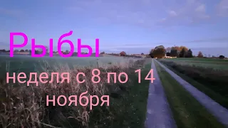 Рыбы♓, 💖 прогноз таро на неделю с 8 по 14 ноября 2021