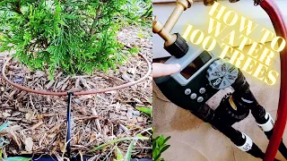 Upgrade Your Arborvitae Tree Line With A Drip Irrigation System - Easy How To Installation Guide!