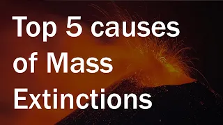 Top 5 Causes of Mass Extinctions