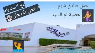 Dive inn Resort 🏊 اجمل عروض فندق دايف ان بشرم الشيخ فقط مع السندباد