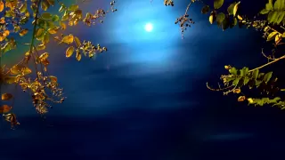 Song to the Moon from Rusalka by Dvorak. Sung in English by Yvonne Kenny