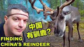 I Find China's Reindeer Tribe in INNER MONGOLIA / 中国有驯鹿？？？