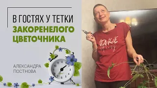 Я и моя тетя. Когда набиваешься в гости силой, тебя кормят, развлекают, а в качестве платы...