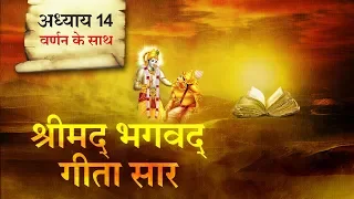 श्रीमद भगवत गीता सार- अध्याय 14 |Shrimad Bhagawad Geeta With Narration |Chapter 14|Shailendra Bharti