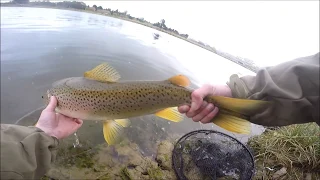 Sight Fishing With Soft Plastics For BIG Sea Run Trout!