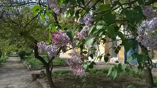 Константиновка. Весна.