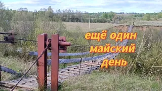 Один майский день из жизни.....