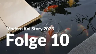 Modern Koi Story 2023 - Folge 10