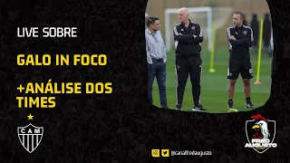 GALO IN FOCO- CONTEÚDO ESPECIAL E INFORMAÇÕES ⚠️🐔