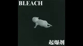 Bleach -  視界の幅