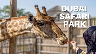 Wildlife Adventure at Dubai Safari Park [4K] | Dubai Tourist Places