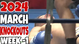 MMA & Boxing Knockouts I March 2024 Week 1