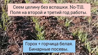 Вводим в оборот заброшенные земли. No-Till. Поля на второй и третий год наглядно.