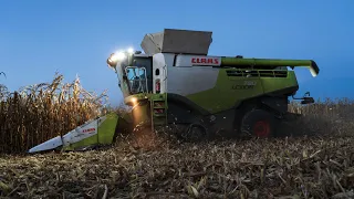 Mais dreschen 2022 | Lexion 780 | 4K || farmer.pics