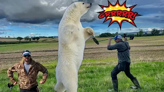 metal detecting with the XP DEUS 2 versus MINELAB EQUINOX 800 - SILVER! and my first POLAR BEAR 🤩