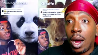 Reaction To No Animal Is Safe!! (Ruining Your Favorite Animals)