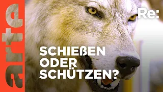 Der Wolf ist zurück - was nun? | ARTE Re: