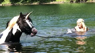 No ads. Bird Sounds meditation 1 hour nature sounds  with horses cosplay