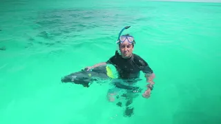 Cocos Keeling Islands - Destination WA 2020 - Underwater Sea Scooter
