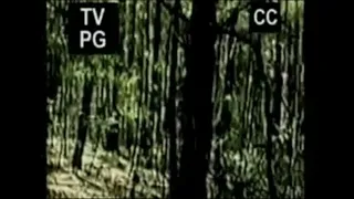 Bigfoot Sighting Filmed In Sam Houston Forest, Texas - 1995