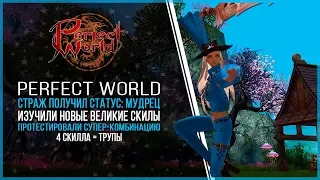 СТРАЖ МУДРЕЦ  УБИЙСТВЕННАЯ КОМБИНАЦИЯ СКИЛЛОВ В PERFECT WORLD