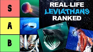 Ranking REAL-LIFE Leviathans Based On How TERRIFYING They Are