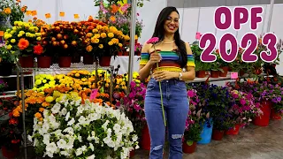 Feria de plantas ornamentales, muchas flores y nuevas variedades al mercado OPF 2023 | Candy Bu