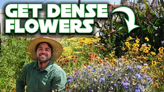 My Secret To Getting Abundant Flowers And Summer Crops!